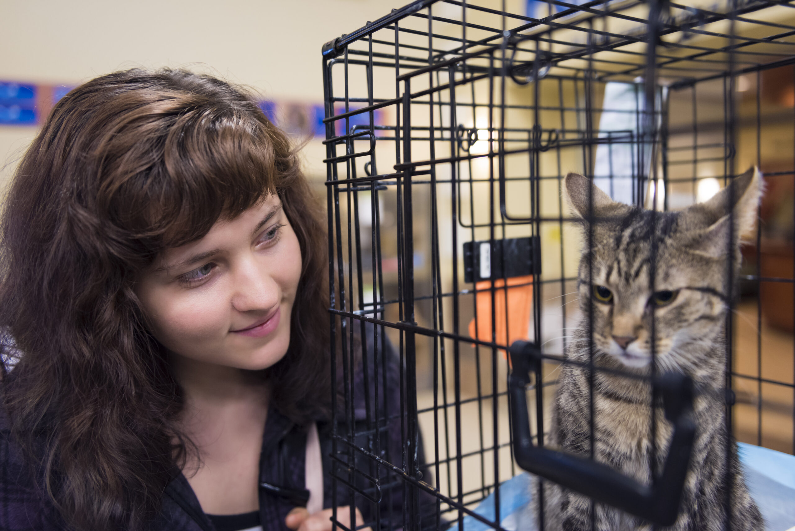 Young woman smiling by cage with one young cat waiting for adoption