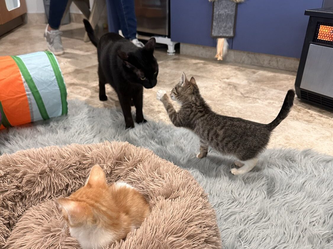 Espresso meets the boys