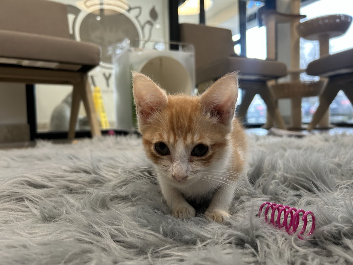 Oliver with toy